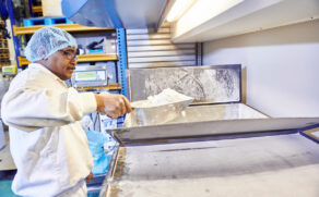 Solina NL – Rotterdam